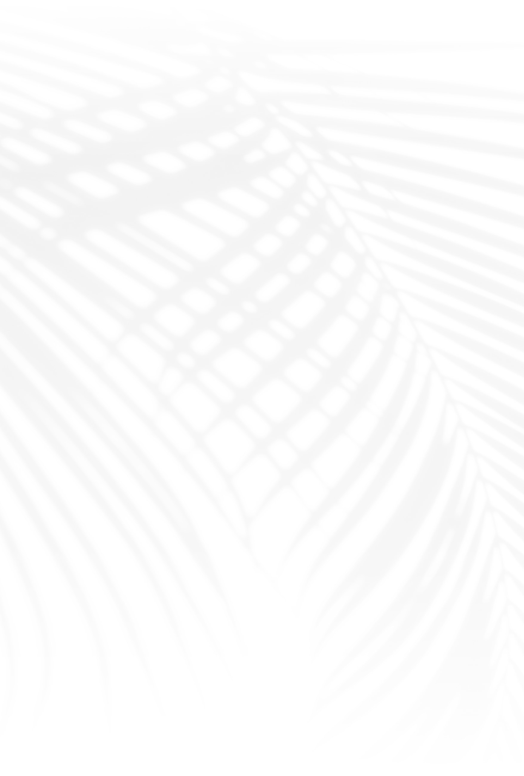 Shadow of palm leaves on a light background.