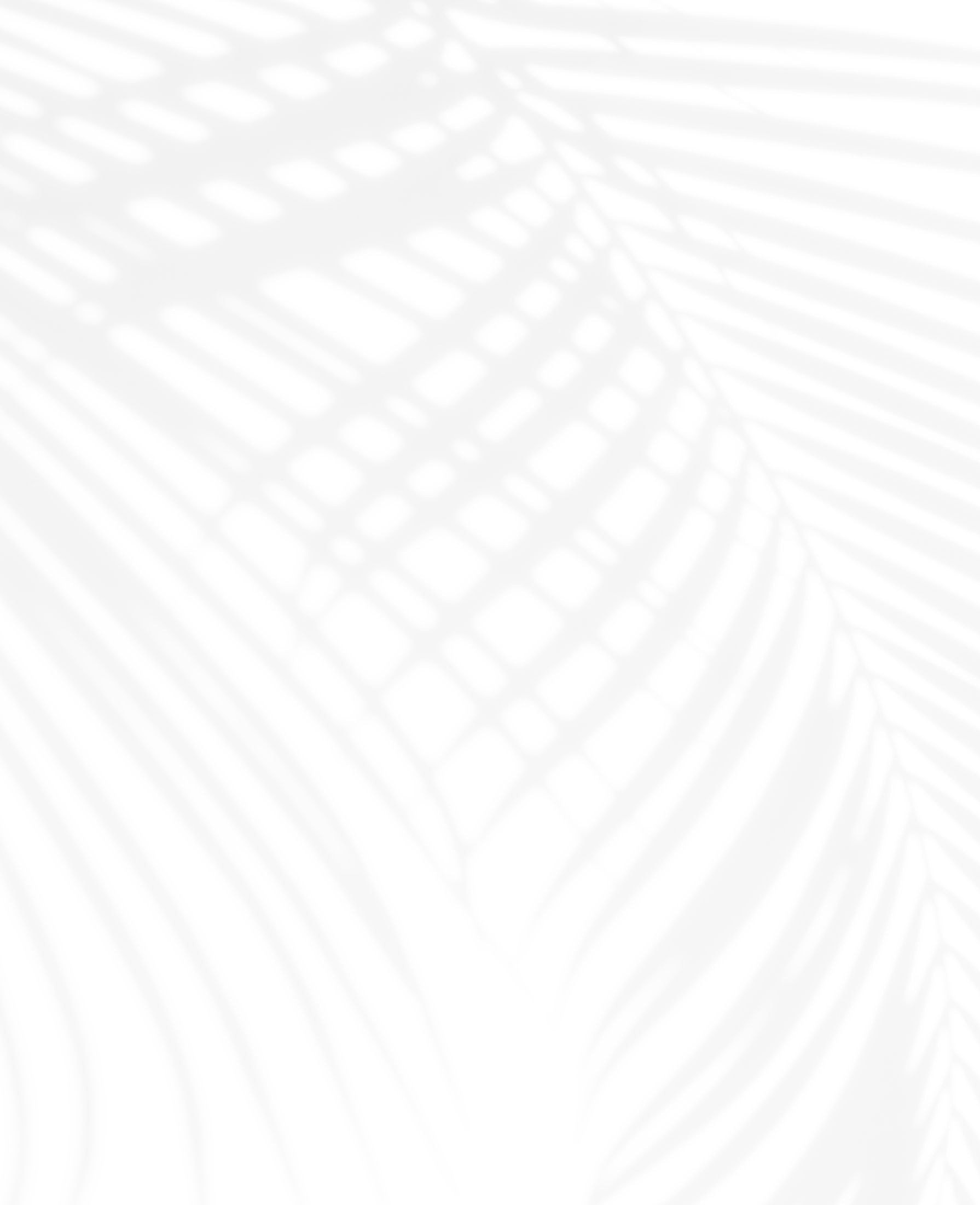 Shadows of palm leaves on white background.